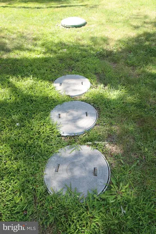 a view of a tree in a yard