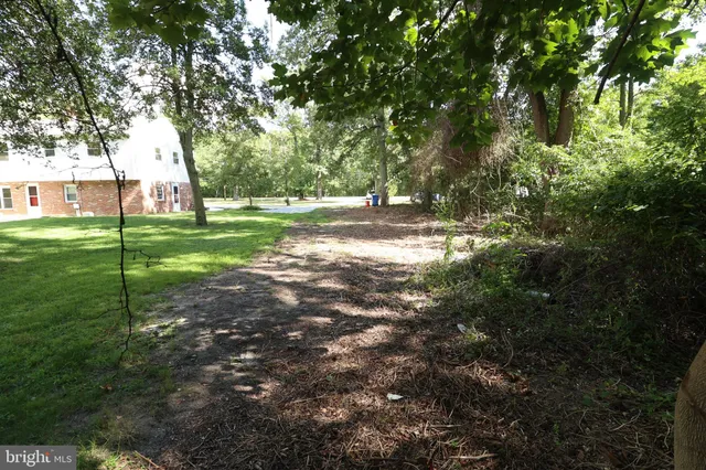 a view of a dry yard