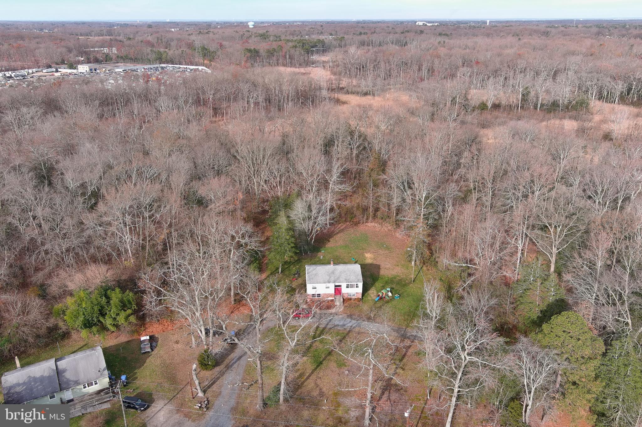 291 Union Street Glassboro, NJ 08028 - Photo 54 of 60 a view of a dry yard with trees