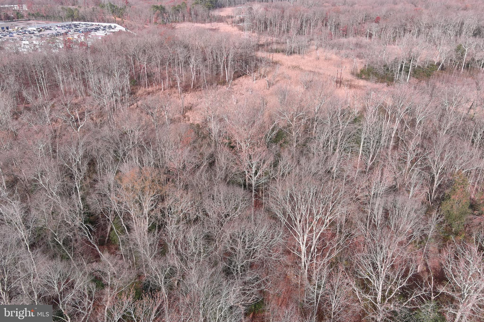 291 Union Street Glassboro, NJ 08028 - Photo 55 of 60 a view of a dry yard