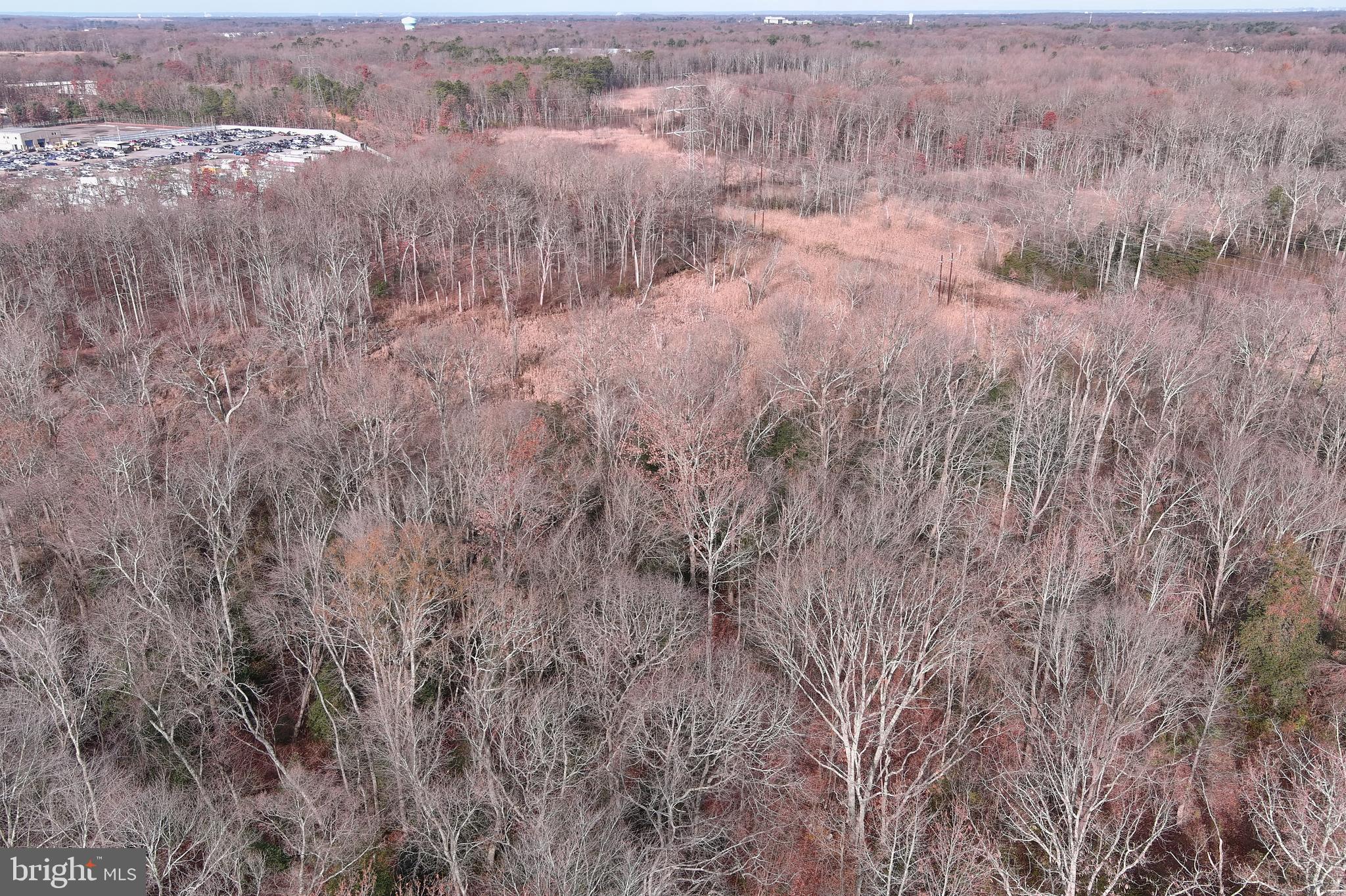 291 Union Street Glassboro, NJ 08028 - Photo 56 of 60 a view of a dry yard