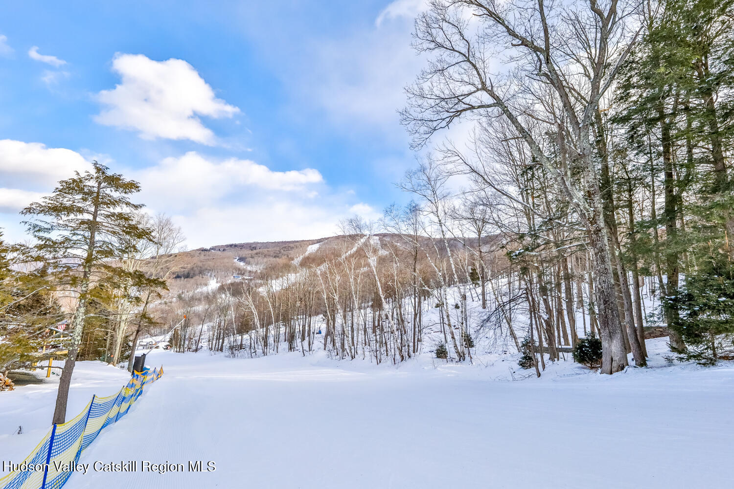 90 Club Road Windham, NY 12496 - Photo 11 of 77 2V2A3305-Edt