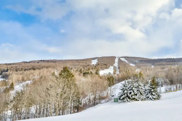 a living room with furniture a fireplace and floor to ceiling windows