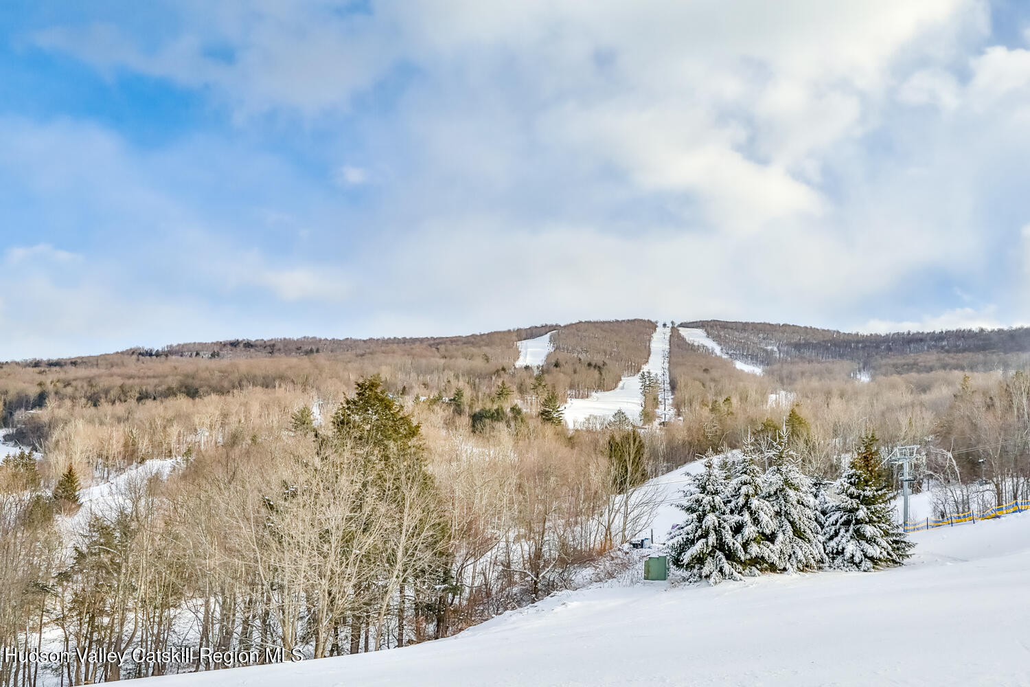 90 Club Road Windham, NY 12496 - Photo 12 of 77 2V2A3389-Edt