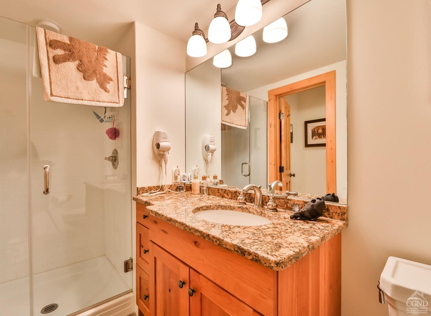 90 Club Road Windham, NY 12496 - Photo 56 of 77 Photo 39