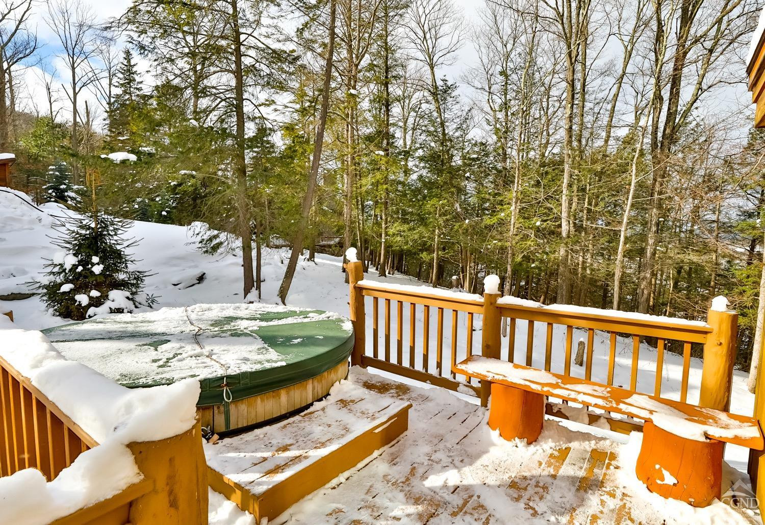 90 Club Road Windham, NY 12496 - Photo 68 of 77 Photo 56