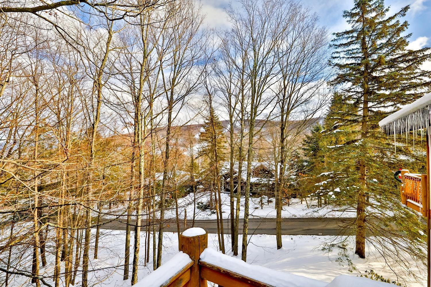 90 Club Road Windham, NY 12496 - Photo 69 of 77 Photo 59