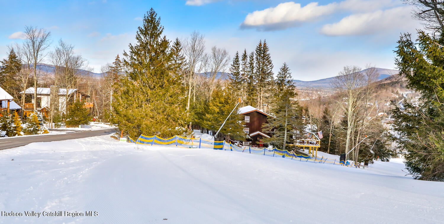 90 Club Road Windham, NY 12496 - Photo 7 of 77 2V2A3261-Edt