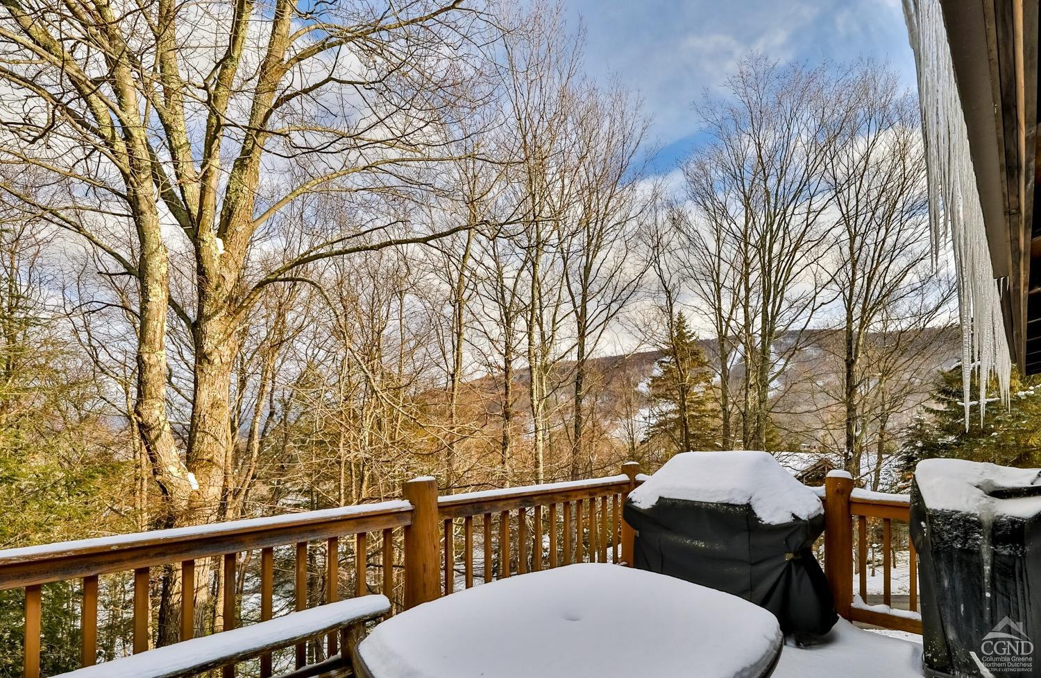 90 Club Road Windham, NY 12496 - Photo 73 of 77 Photo 60