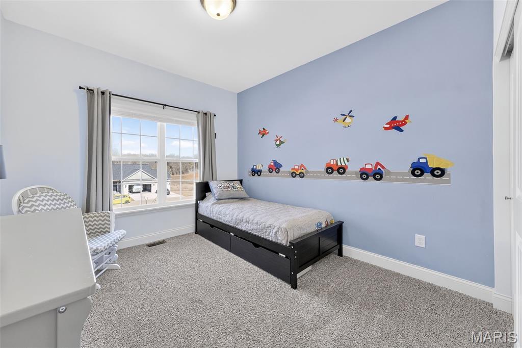 299 Auburn Ridge Dr. Drive Troy, MO 63379 - Photo 31 of 77