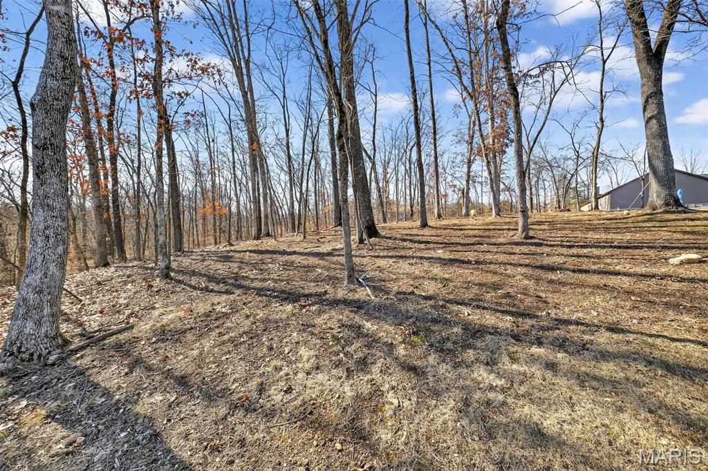 299 Auburn Ridge Dr. Drive Troy, MO 63379 - Photo 53 of 77