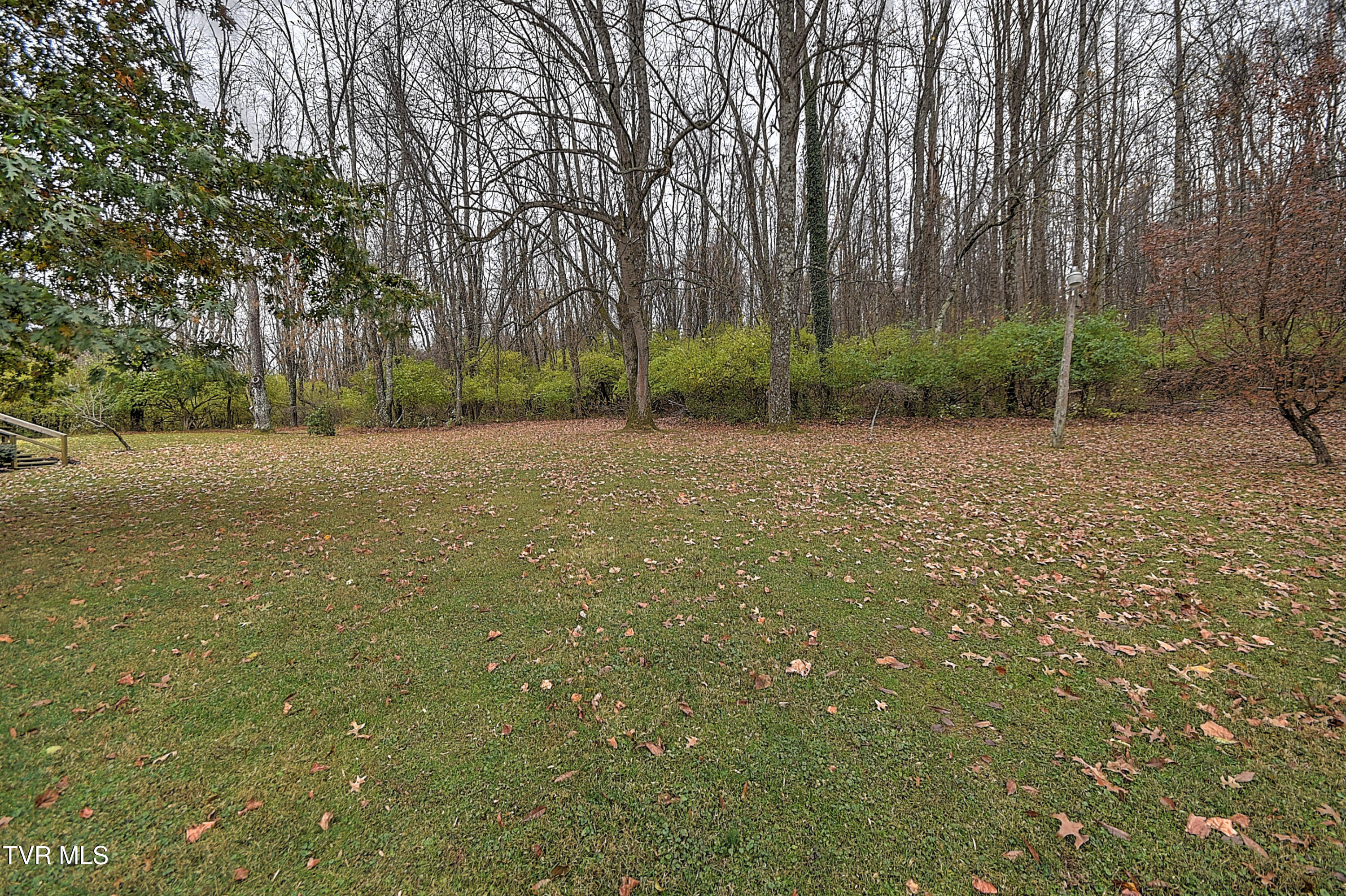 571 Booher Spgs Road Bristol, VA 24201 - Photo 54 of 70 571 Booher Springs DM-66