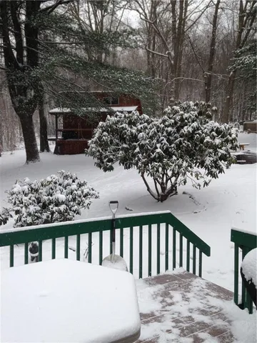 a view of a bench in the backyard of a house
