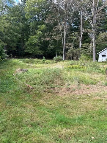 a view of outdoor space and yard