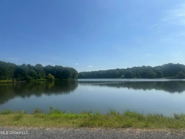 $165,000 | 185 Longview Drive, Coldwater, MS 38618