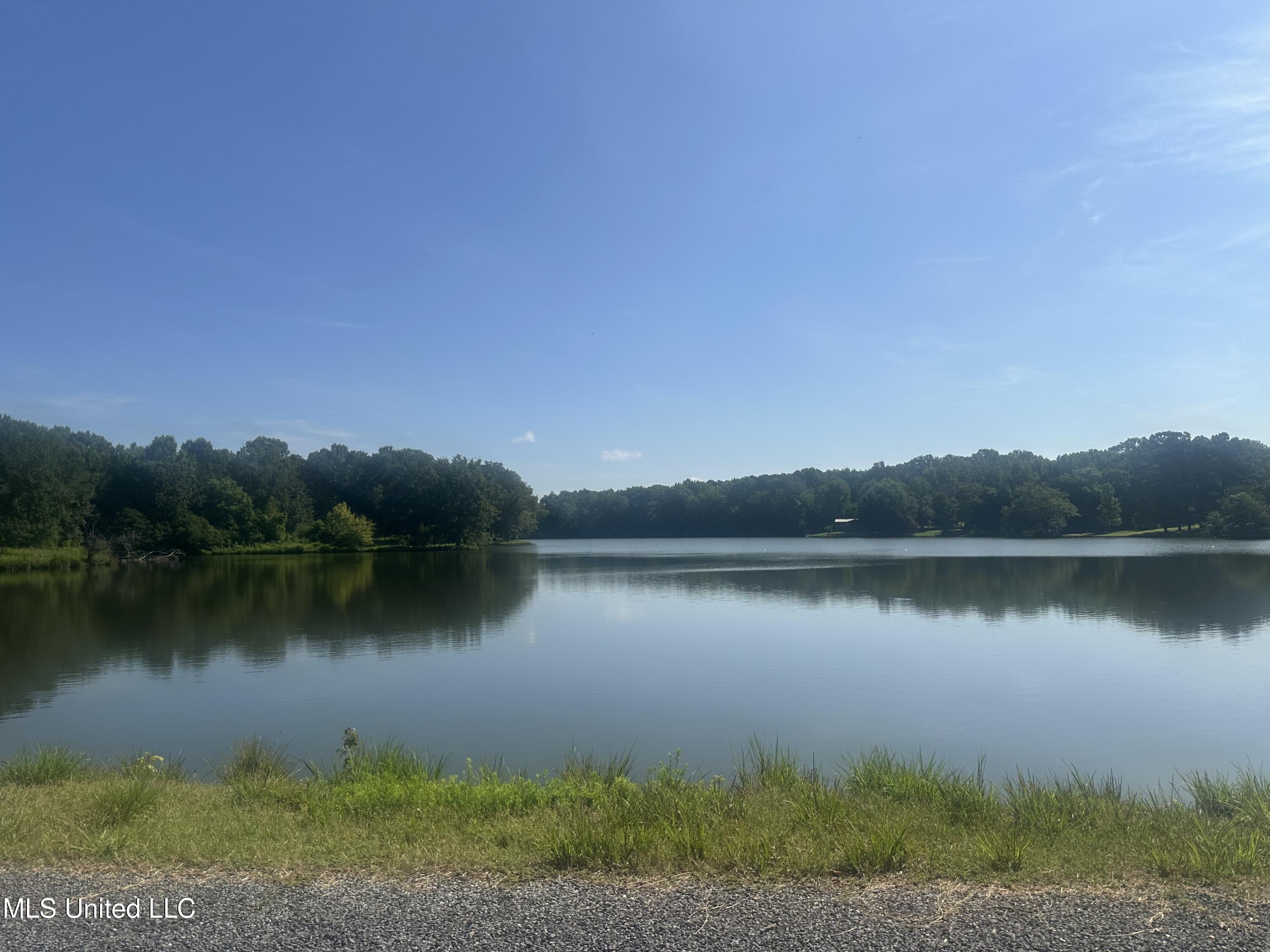 185 Longview Drive Coldwater, MS 38618 - Photo 7 of 8 IMG_4201