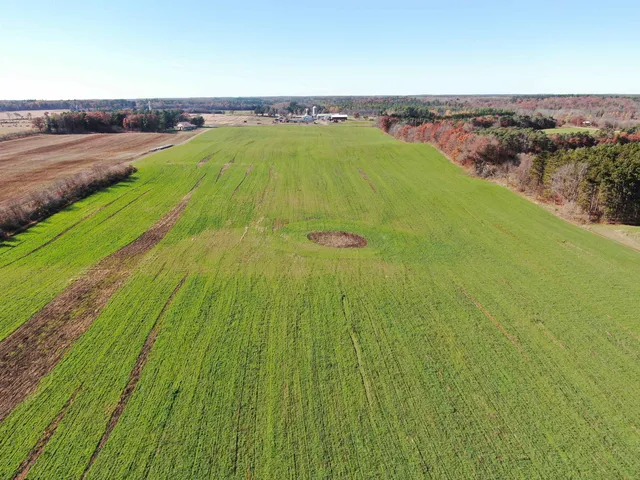 $600,000 | 75-ac County Rd A, Amherst Junction, WI 54407