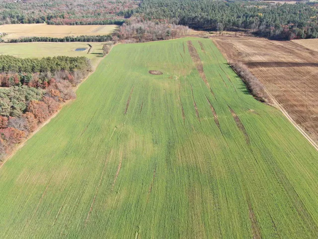 $600,000 | 75-ac County Rd A, Amherst Junction, WI 54407