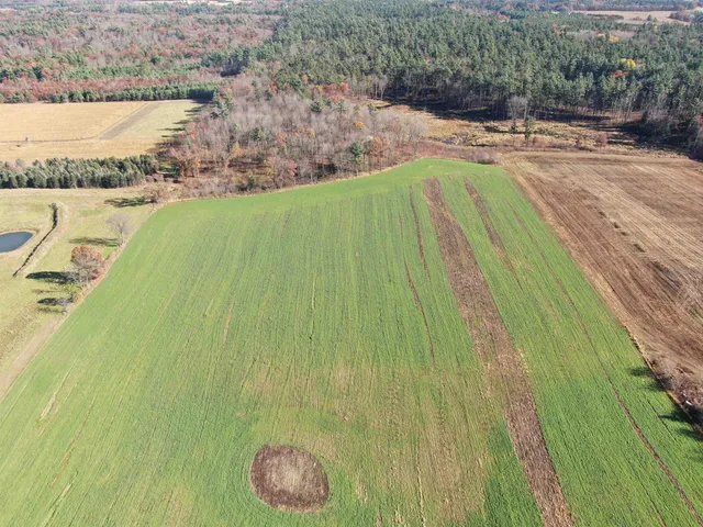 $600,000 | 75-ac County Rd A, Amherst Junction, WI 54407