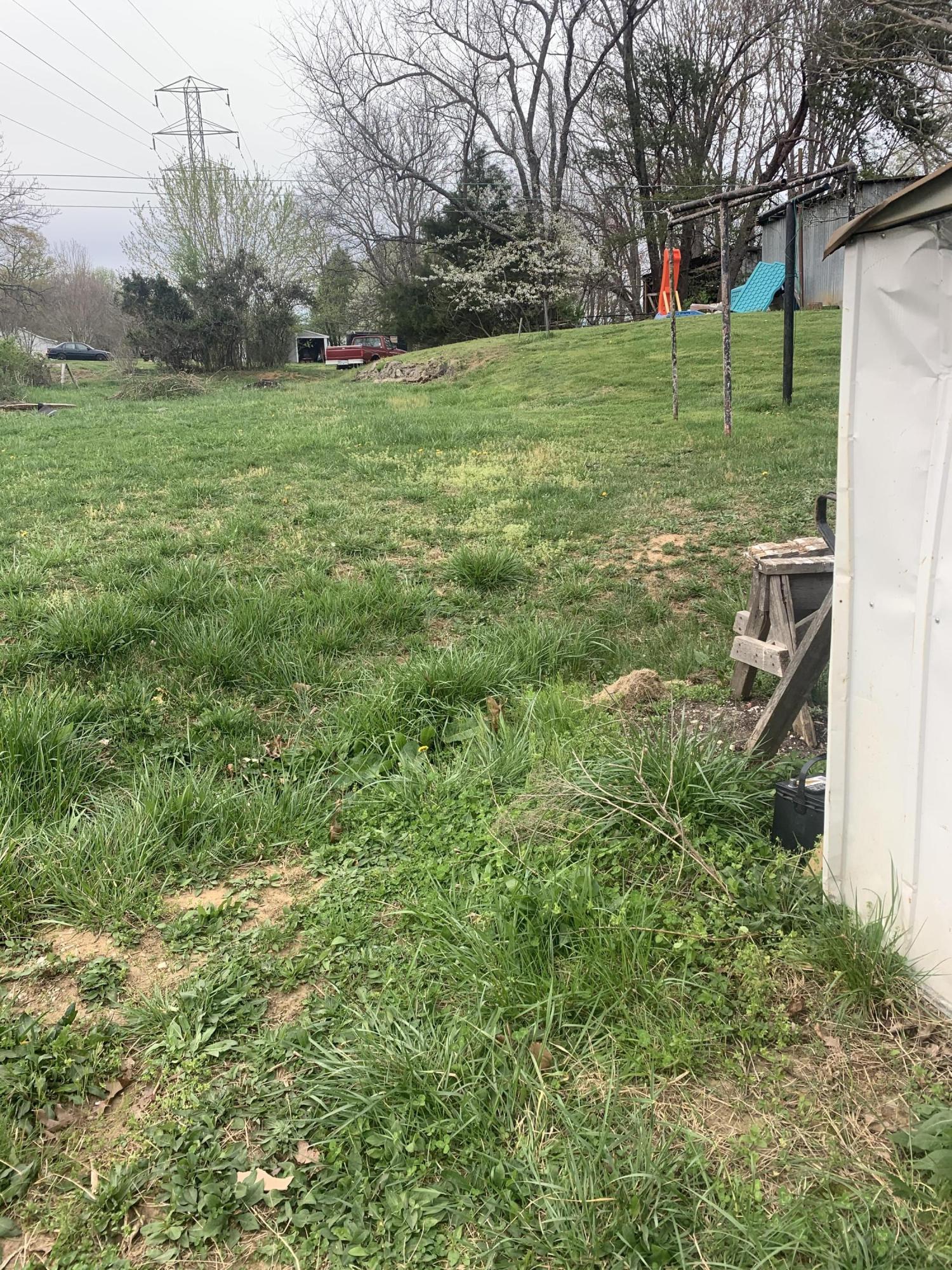 4704 Goodman Road Roanoke, VA 24014 - Photo 24 of 25 a view of a park with large trees