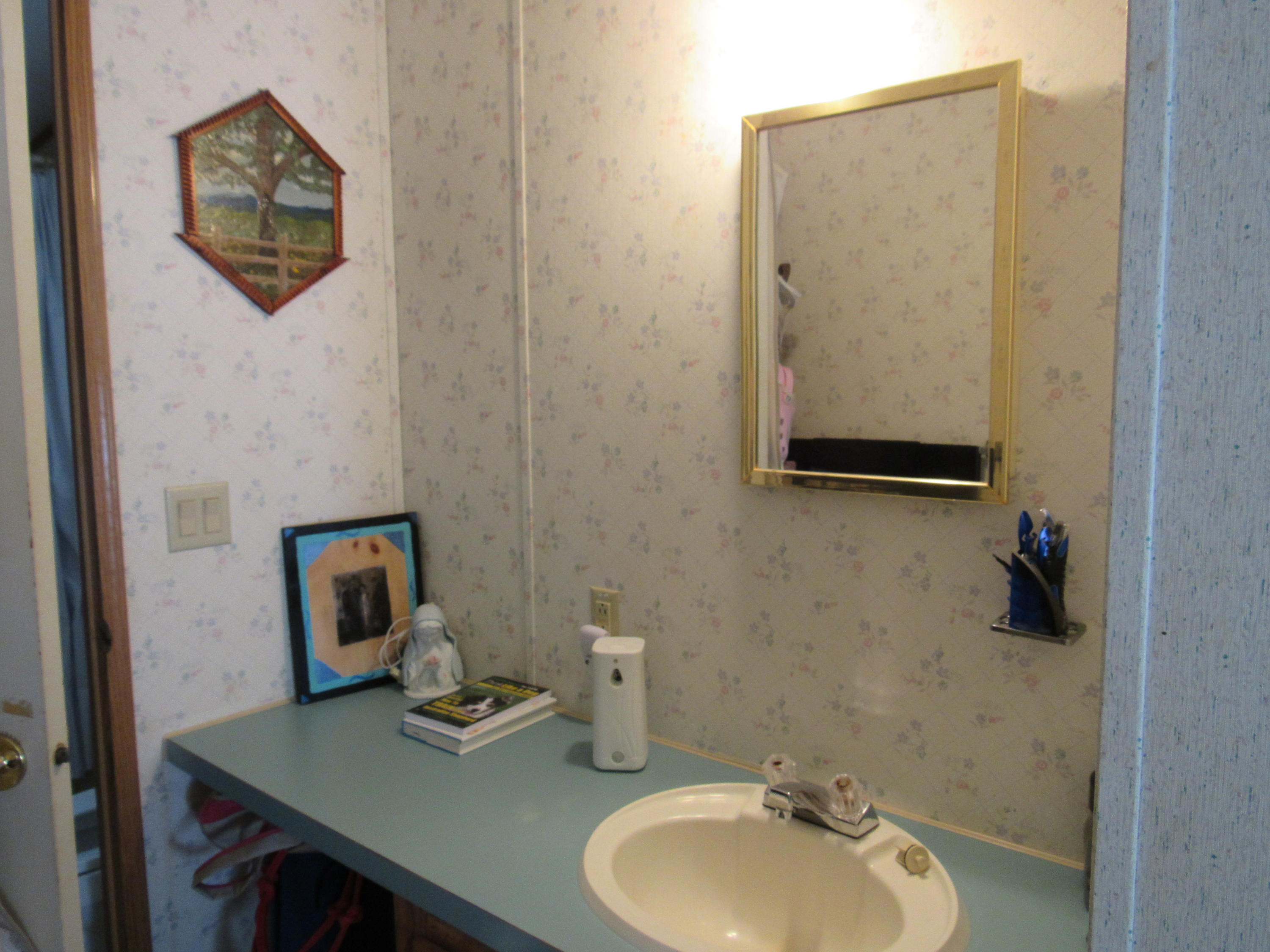 419 Mccard Road Corinth, ME 04427 - Photo 29 of 56 IMG_5322
