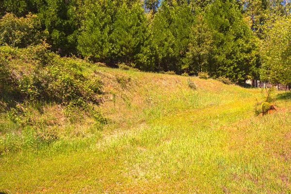 a view of mountain view