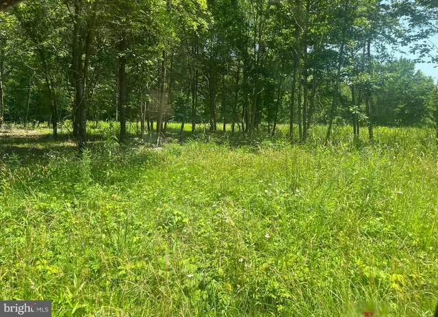 $170,000 | Lot 1 Kentucky Springs Road, Bumpass, VA 23024