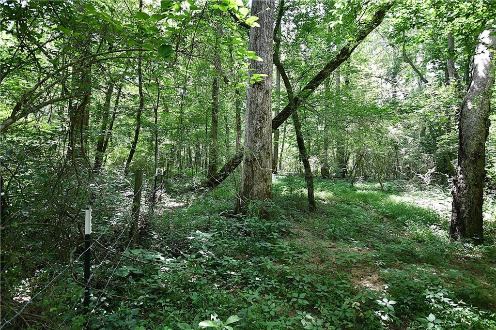 400 Kelley Road Tallapoosa, GA 30176 - Photo 37 of 52 a big yard with lots of green space and deers