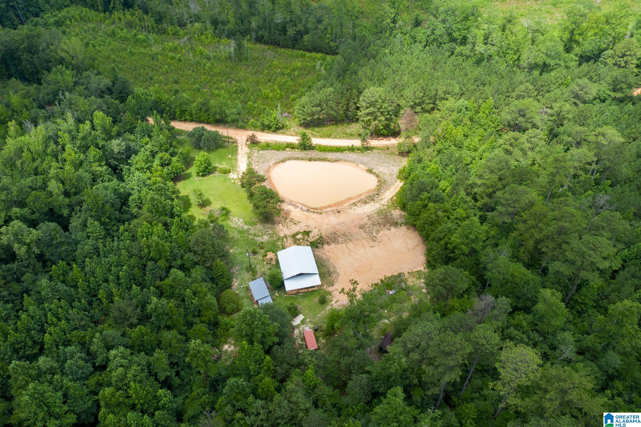 3025 Potato Patch Creek Road Marion, AL 36756 - Photo 2 of 24