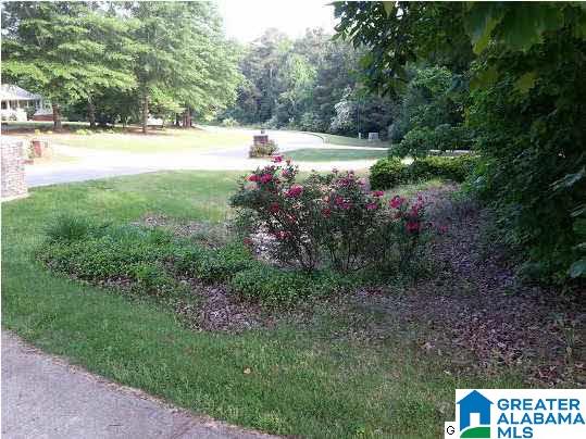 115 Hunter Ridge Lane Pell City, AL 35128 - Photo 5 of 32