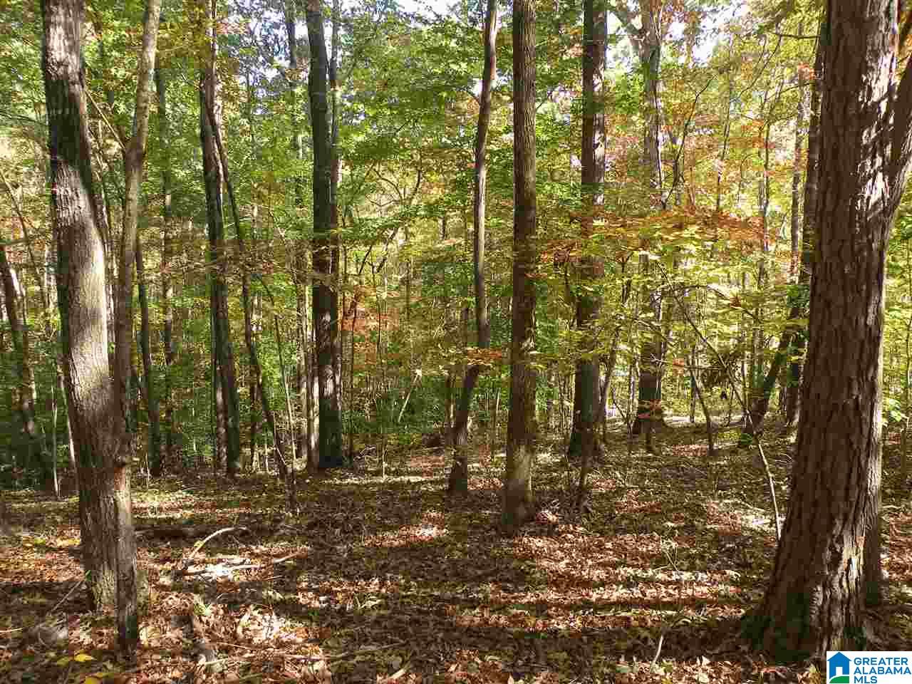 163 Thurman Road Talladega, AL 35160 - Photo 22 of 22