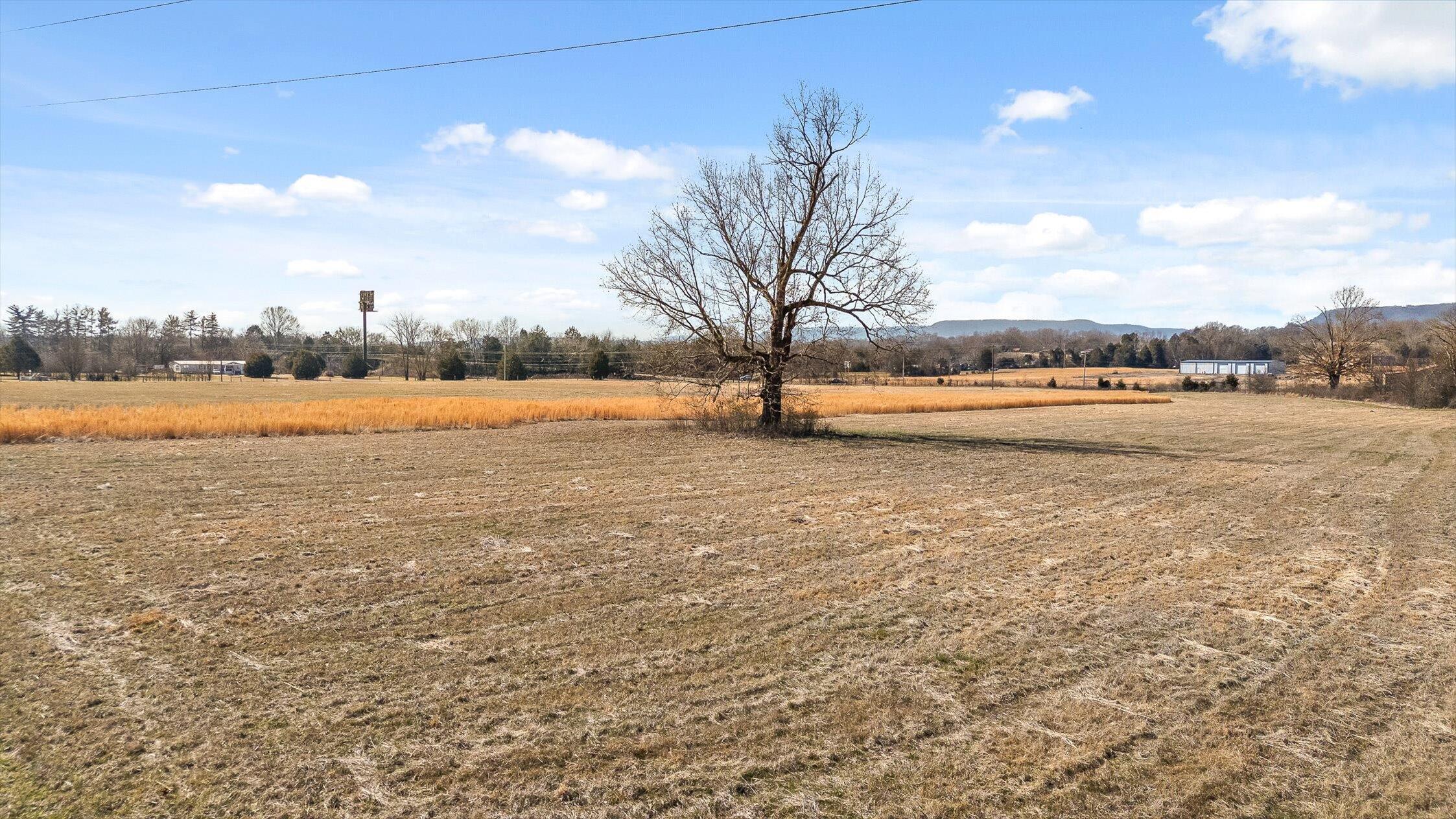 175 Hass Road Jasper, TN 37347 - Photo 19 of 32 19-Hass Rd-18