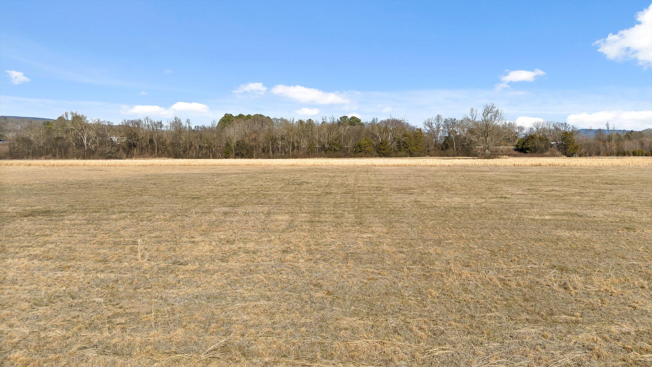 175 Hass Road Jasper, TN 37347 - Photo 22 of 32 22-Hass Rd-21