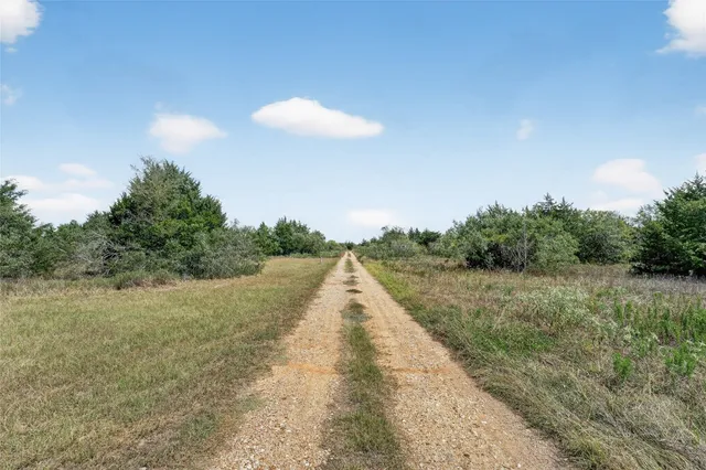 a view of a dry yard with trees
