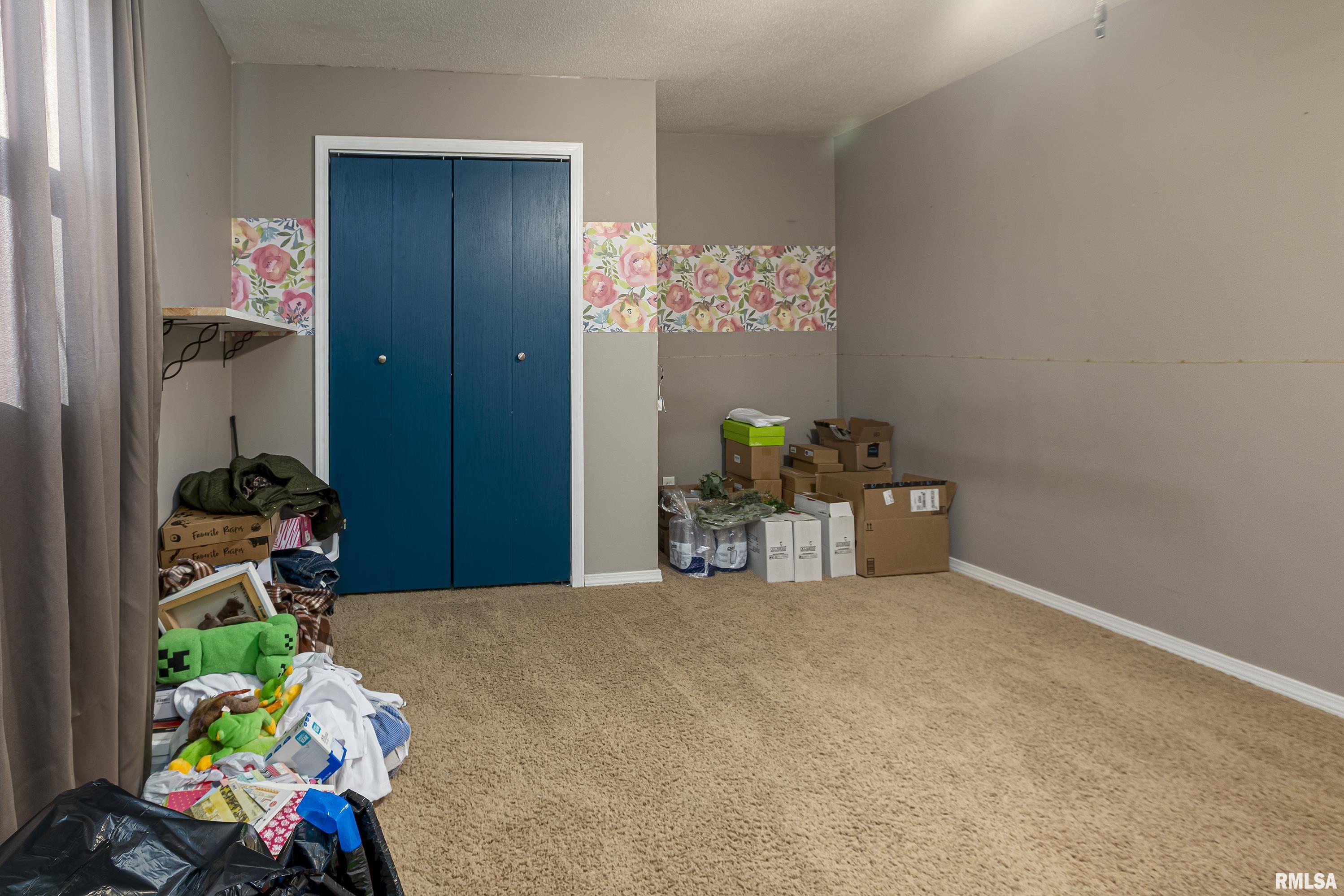 11888 Trolley Line Road Marion, IL 62959 - Photo 21 of 30