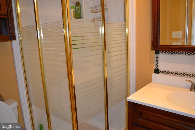 6507 Edenvale Road Baltimore, MD 21209 - Photo 18 of 20 Bath (Master)