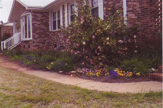 502 American Legion Road Greer, SC 29651 - Photo 3 of 17 Gallery Image 3