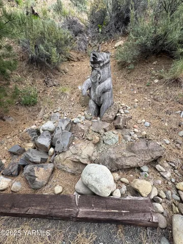 a view of a yard with plants