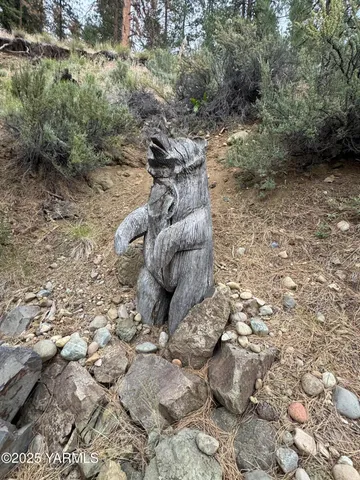 a backyard of a house