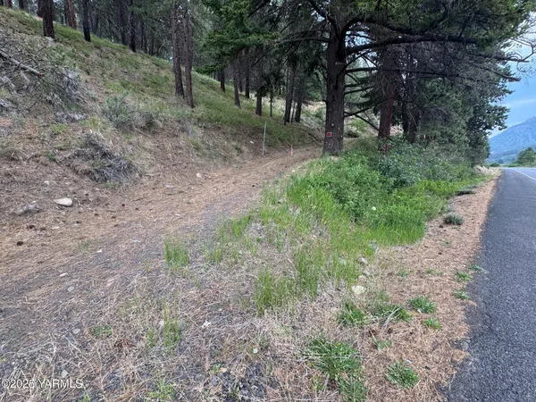 $95,000 | 410 Ave Naches Wa 98937 Avenue, Naches, WA 98937