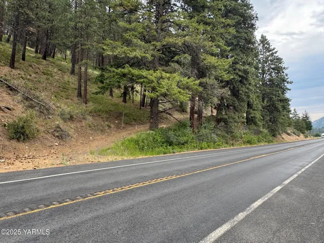 a view of a yard with a street