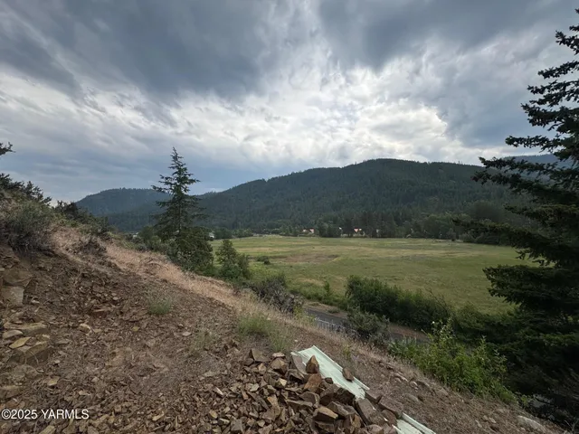 a view of outdoor space and yard