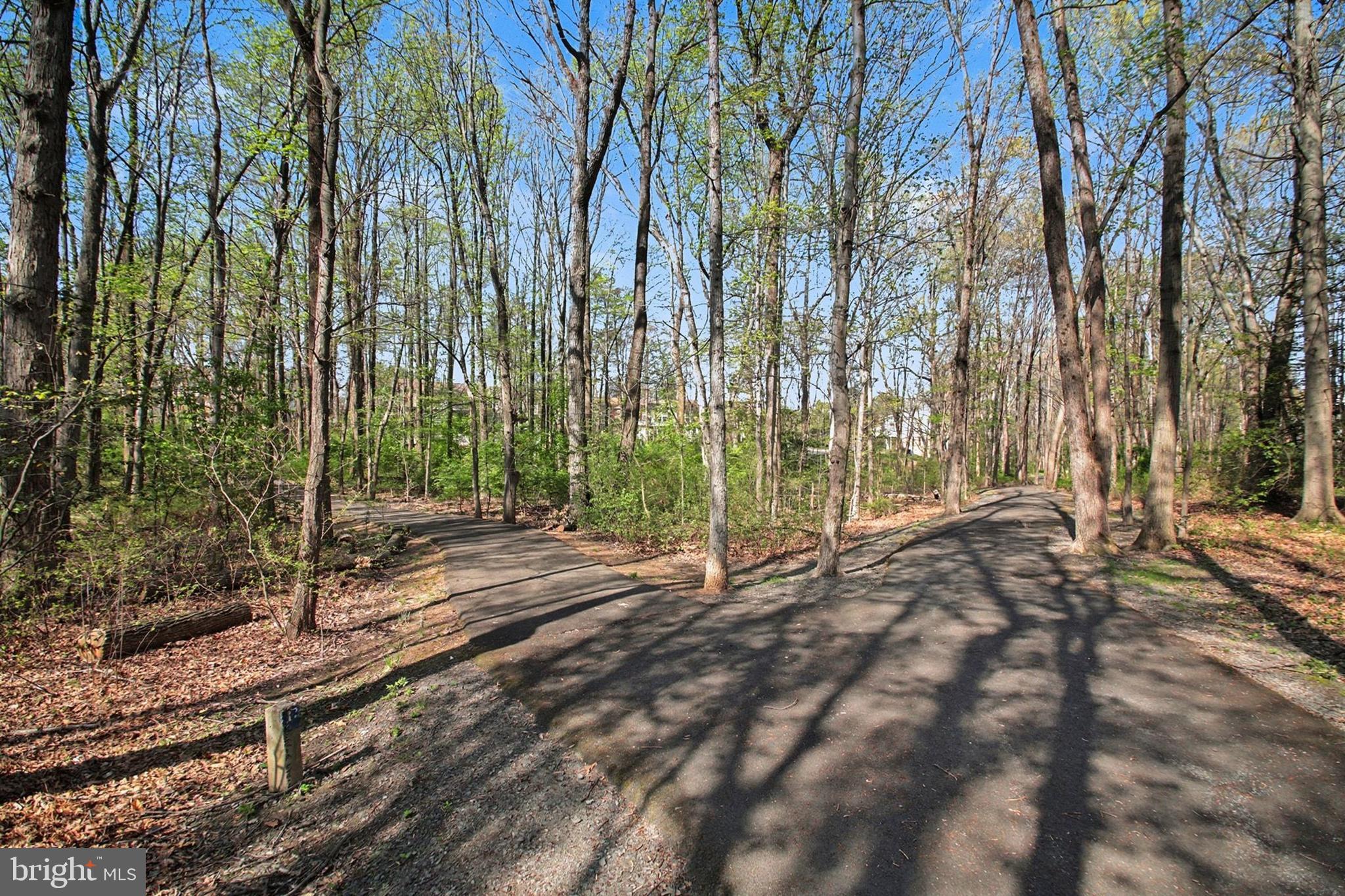 11906 Crosswind Court Reston, VA 20194 - Photo 23 of 30 Walking paths
