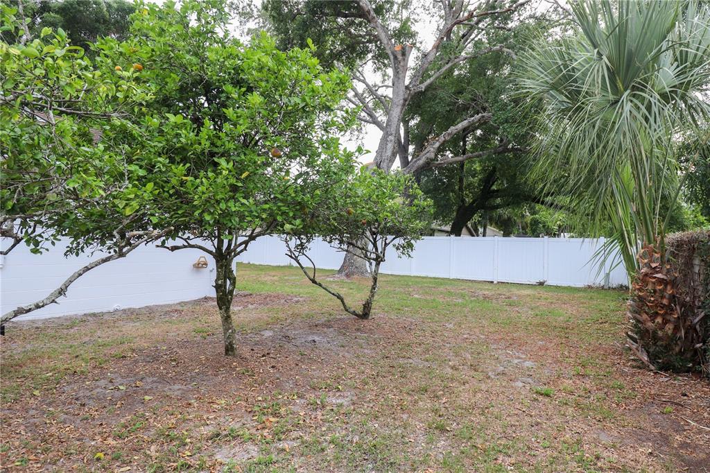 708 Camden Road Altamonte Springs, FL 32714 - Photo 39 of 42 Fruit tress; Lime, Grapefruit and Naval.