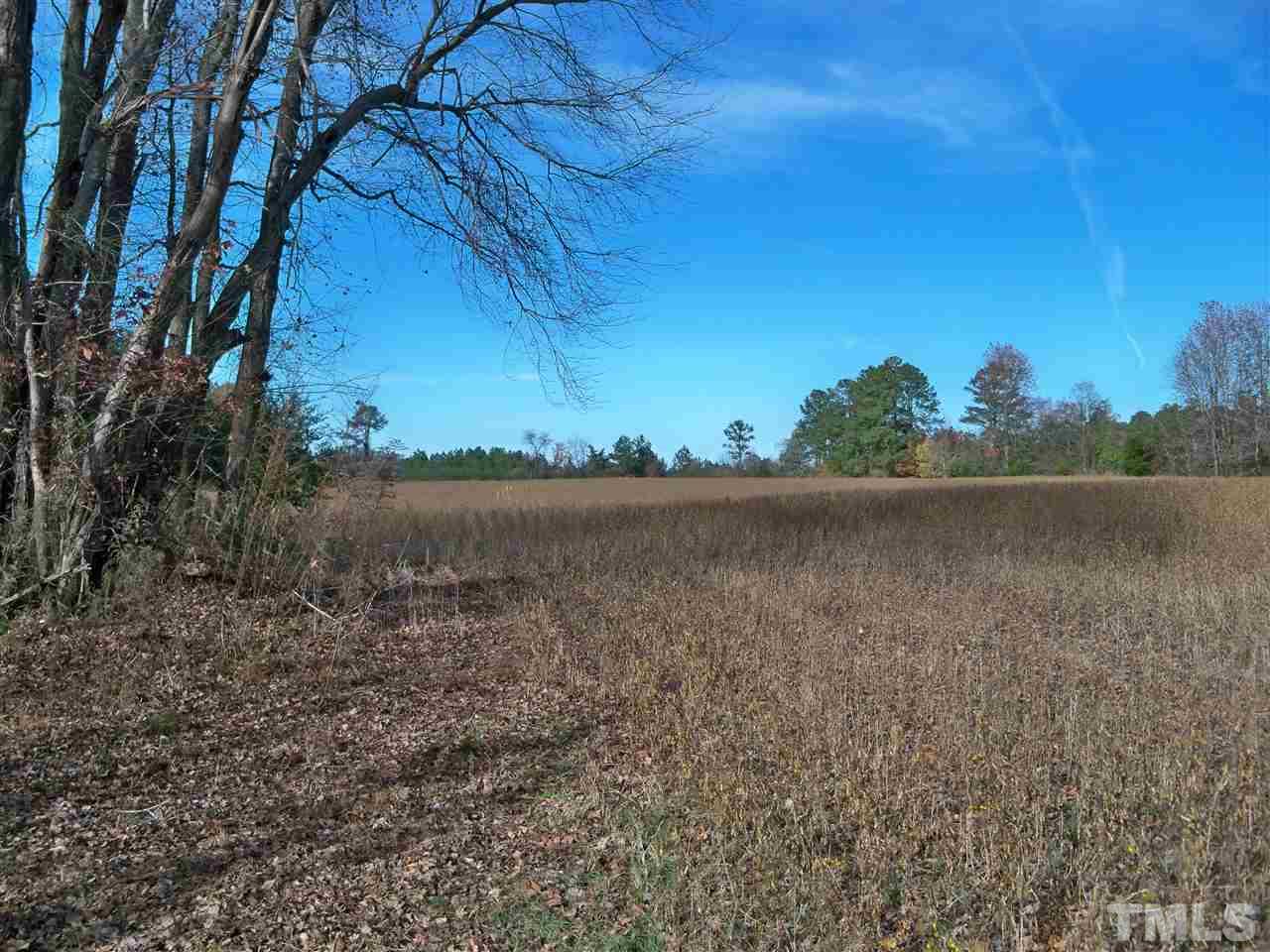 0 Watkins Road Wendell, NC 27591 - Photo 1 of 12 a view of a yard with a tree