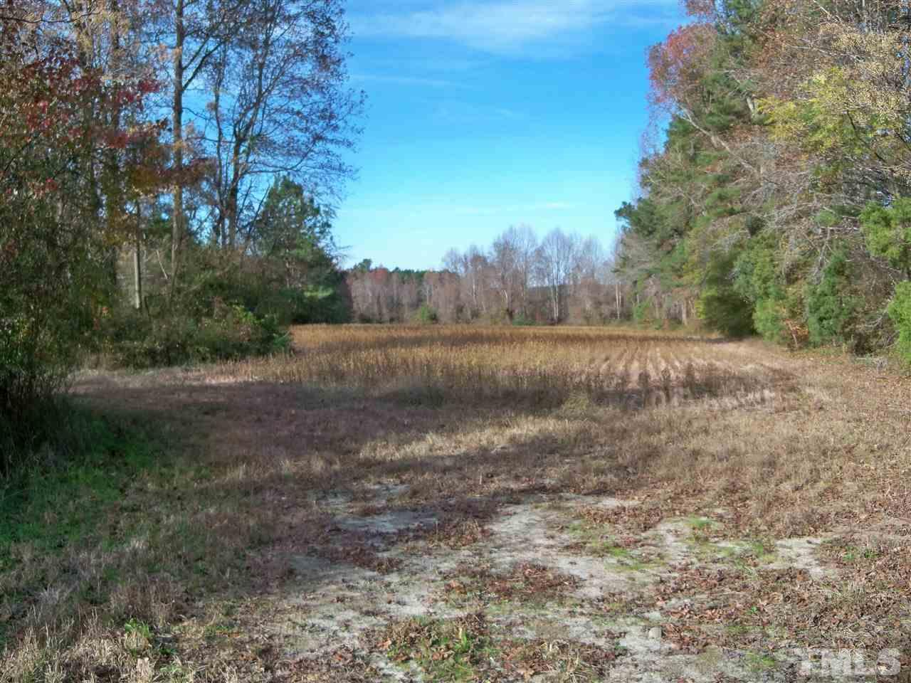 0 Watkins Road Wendell, NC 27591 - Photo 2 of 12 a view of a lake with mountain in the background