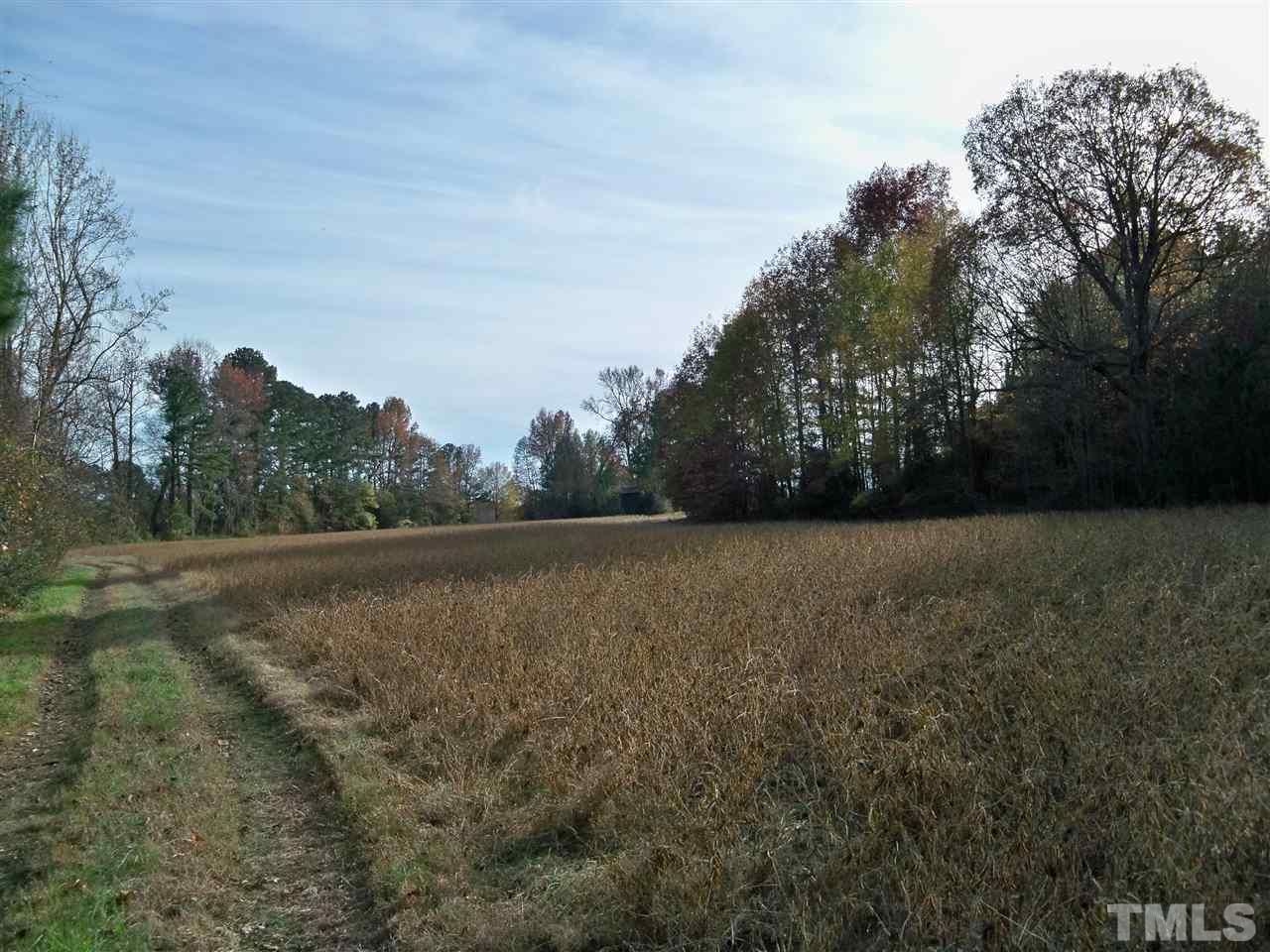 0 Watkins Road Wendell, NC 27591 - Photo 11 of 12 a view of outdoor space and yard