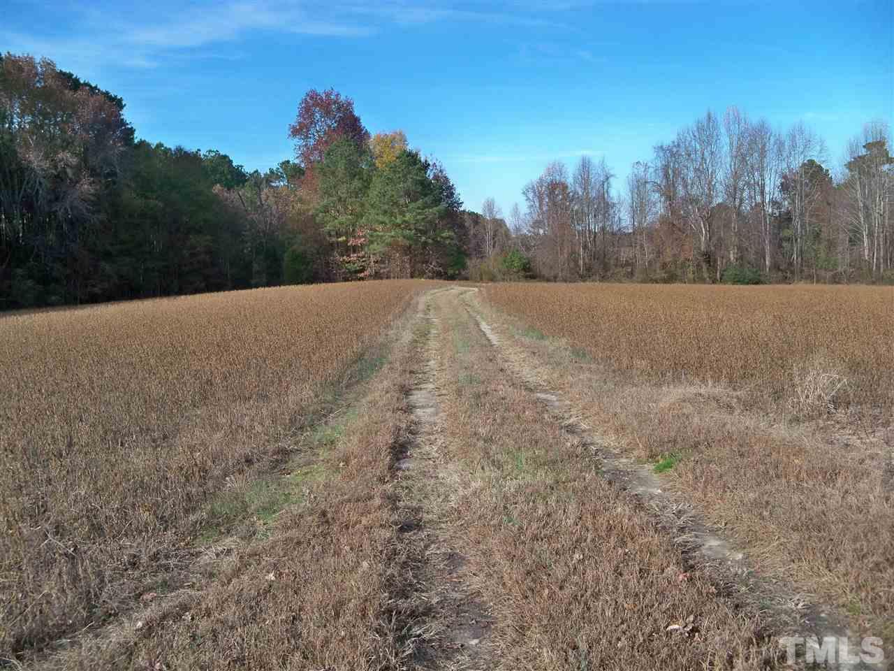 0 Watkins Road Wendell, NC 27591 - Photo 6 of 12 a view of outdoor space and yard