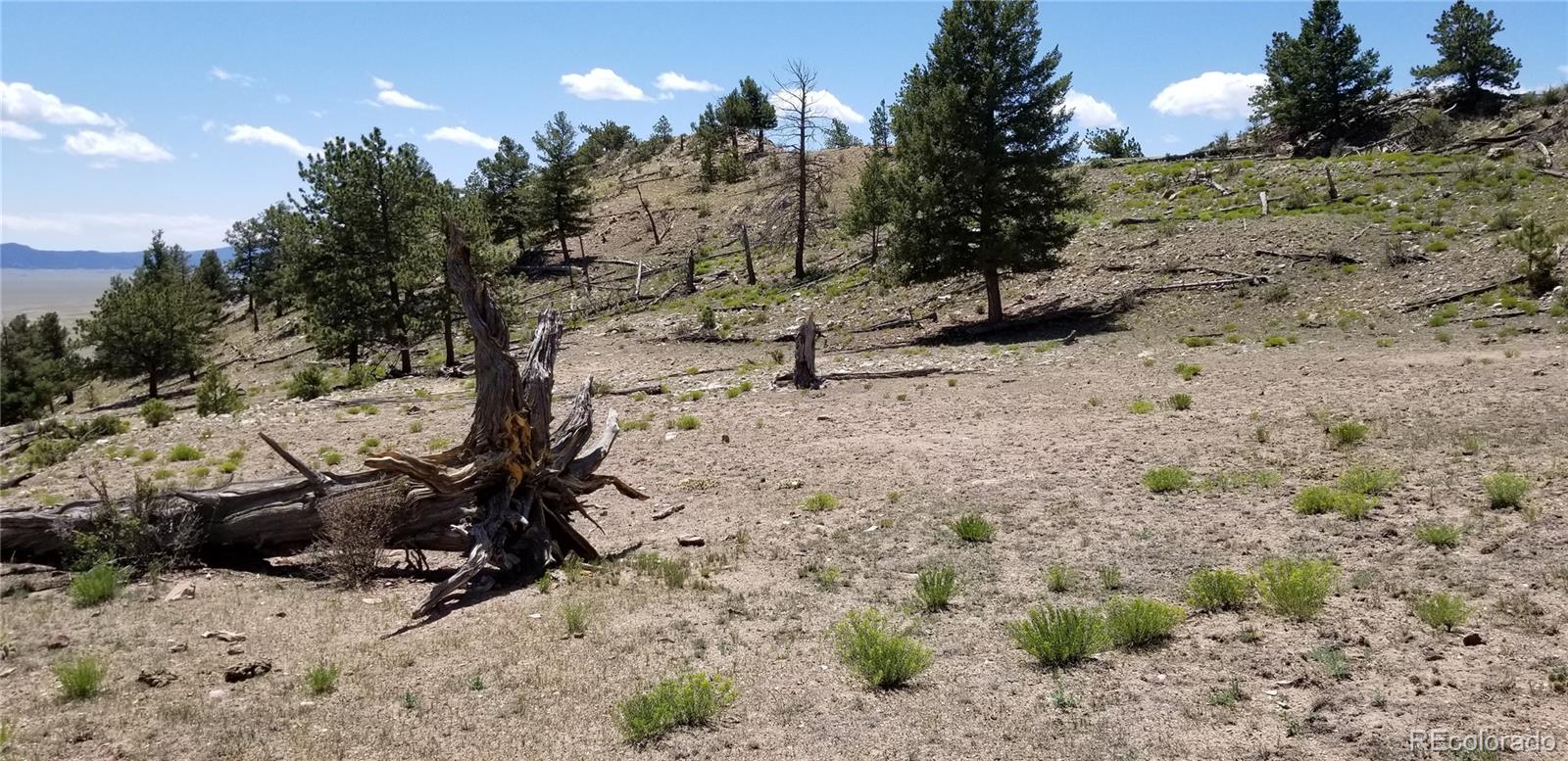 835 Sulphur Mountain Road Lake George, CO 80827 - Photo 4 of 7