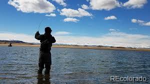 835 Sulphur Mountain Road Lake George, CO 80827 - Photo 6 of 7